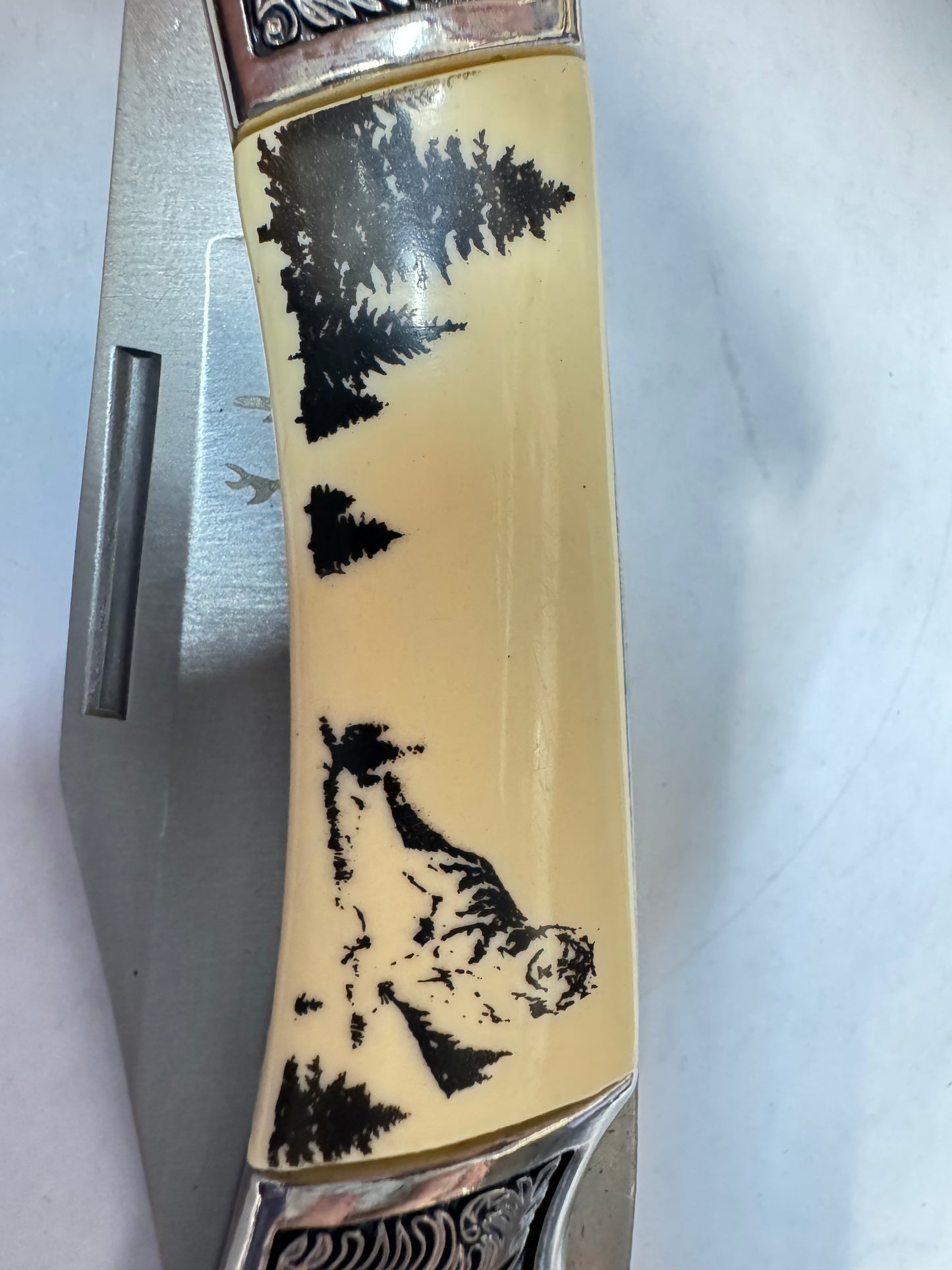 The Bone Edge Wolf Folder Knife with Gift Box