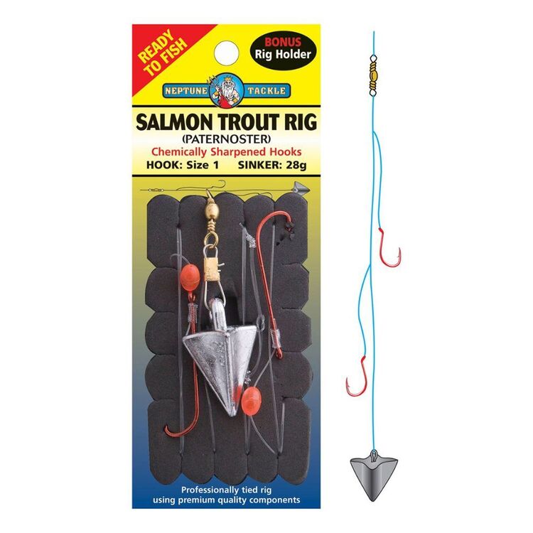 Neptune Tackle Paternoster Salmon Trout Rig Sinker 28g