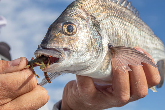 Gulp 2IN 5cm Crabby Camo