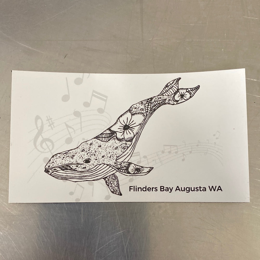 Augusta Magnets Assorted Local