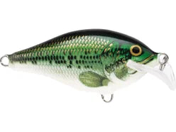 X Rap Crank Baby Bass