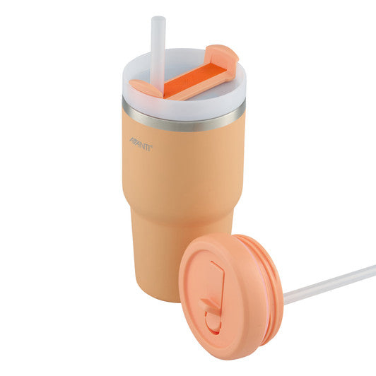 Avanti Hydroquench Insulated Smoothie Tumbler 550ml