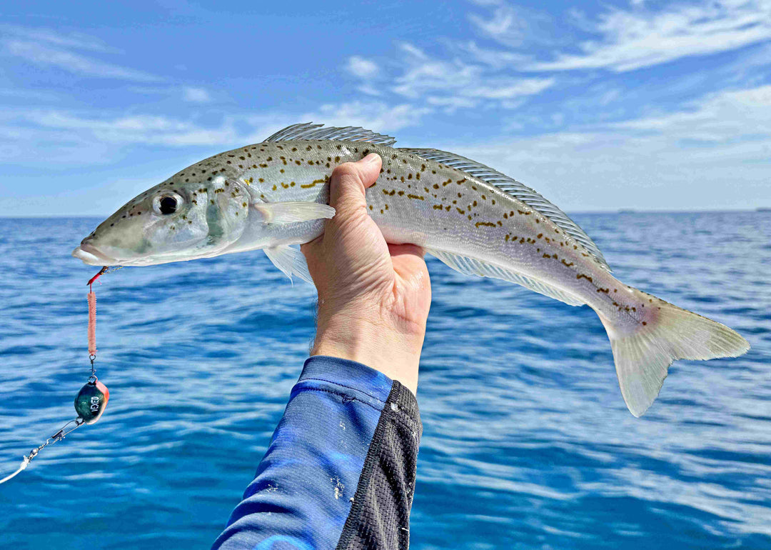 Vexed Bottom Worm Longshank Jig