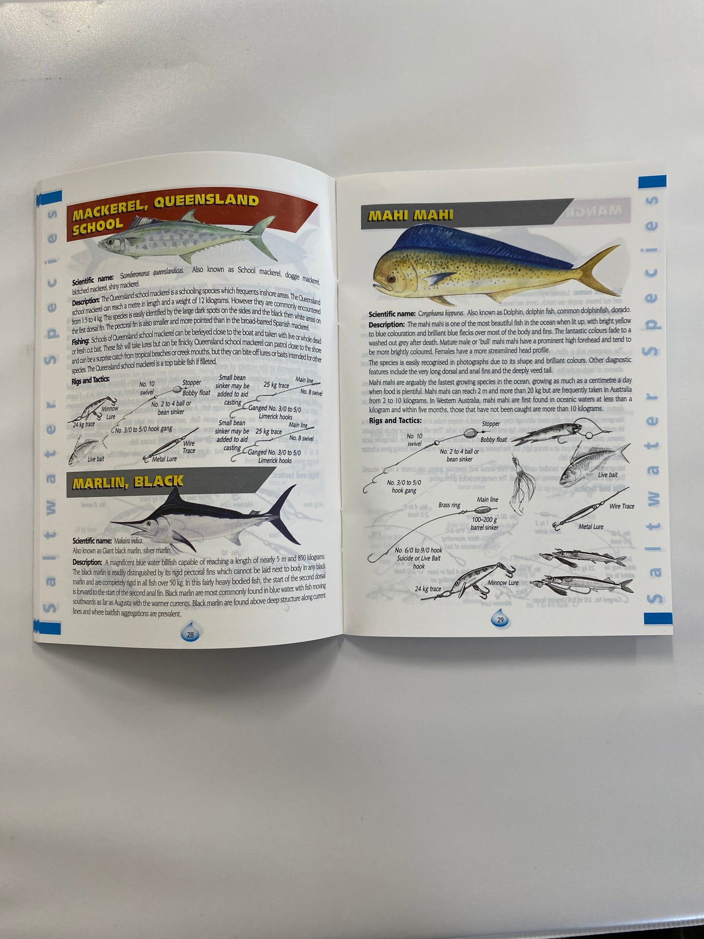 Waterproof W.A. Fish Guide Book